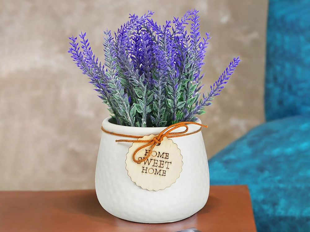 Ý nghĩa hoa Lavender