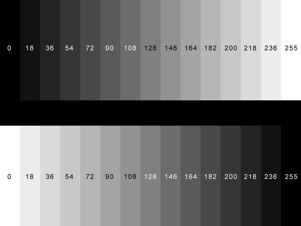 Cấu Tạo và Đặc Điểm Của Hệ Màu Grayscale