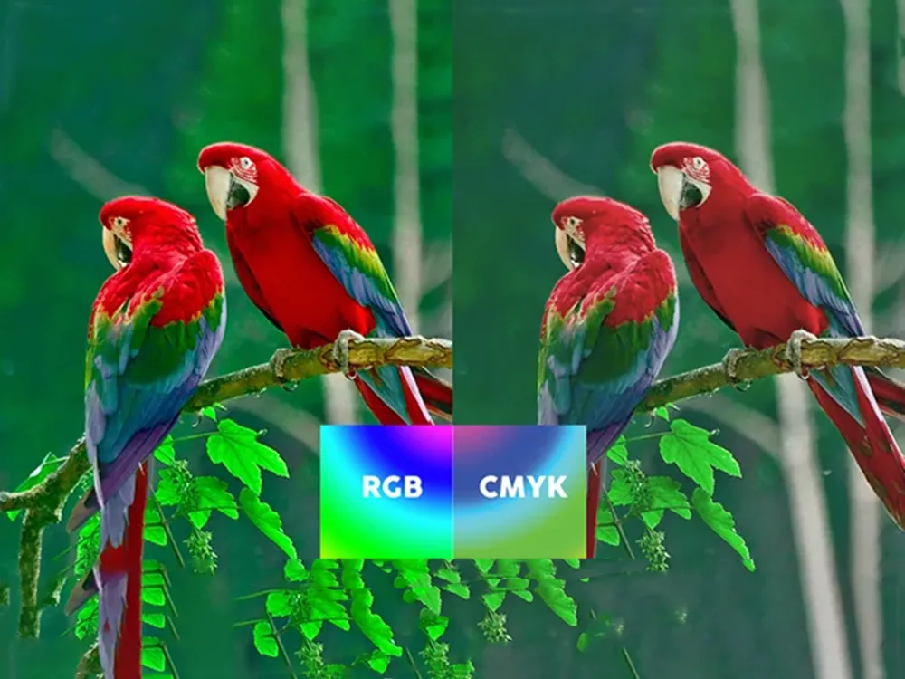 Thiết kế không chuyển sang hệ màu CMYK
