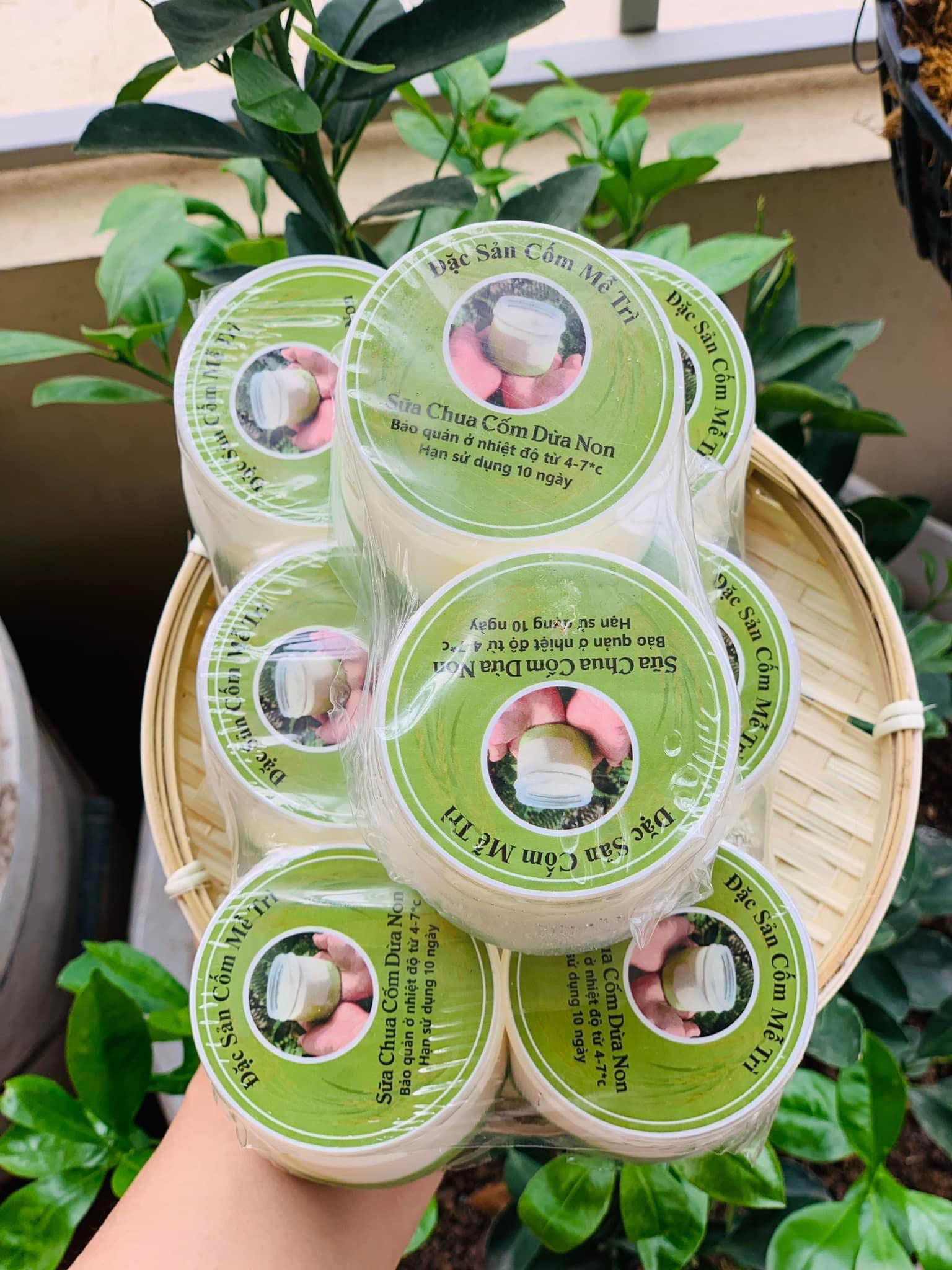 Mẫu Tem Cốm Đẹp