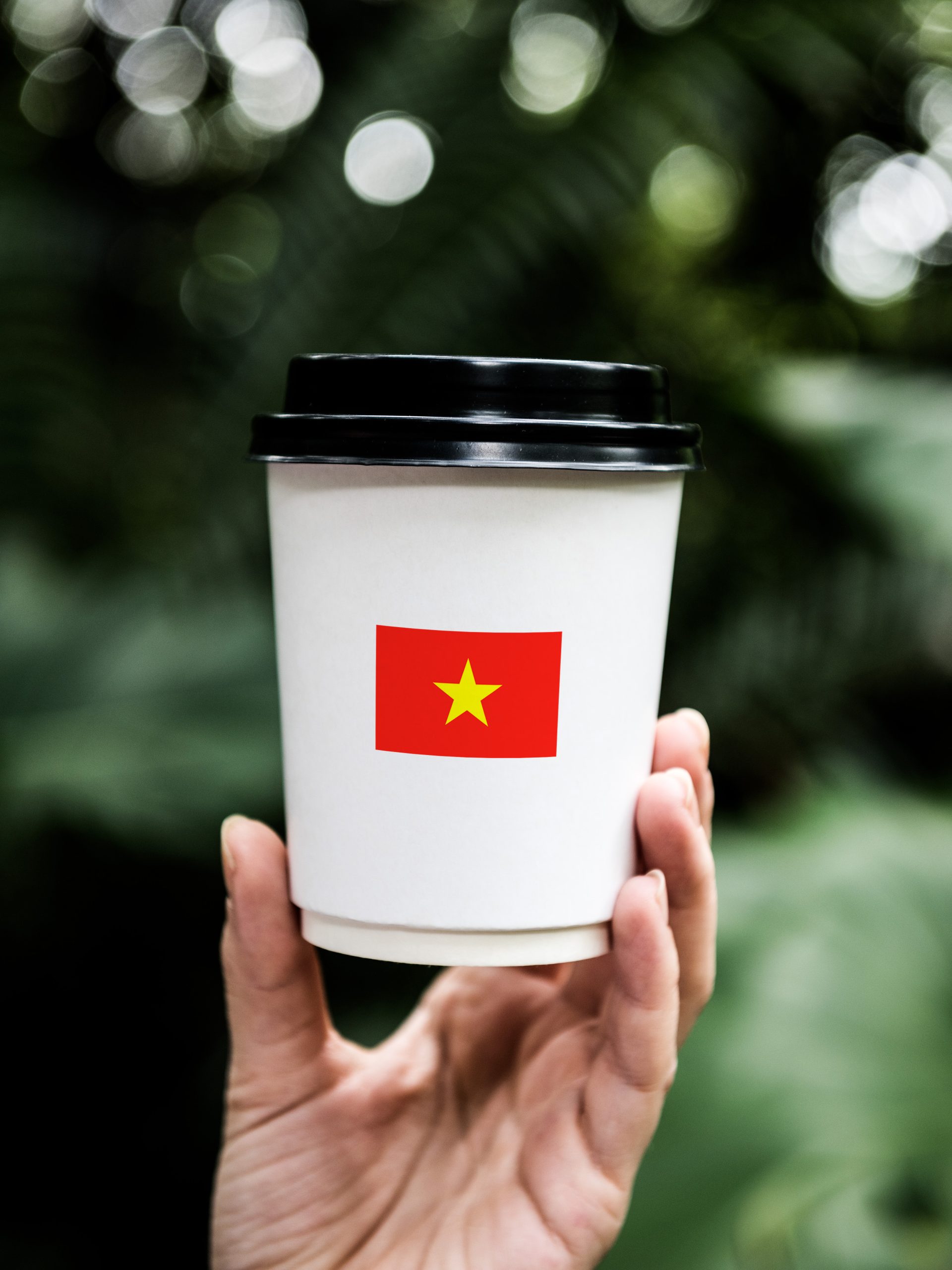 Kích Thước Sticker Phổ Biến