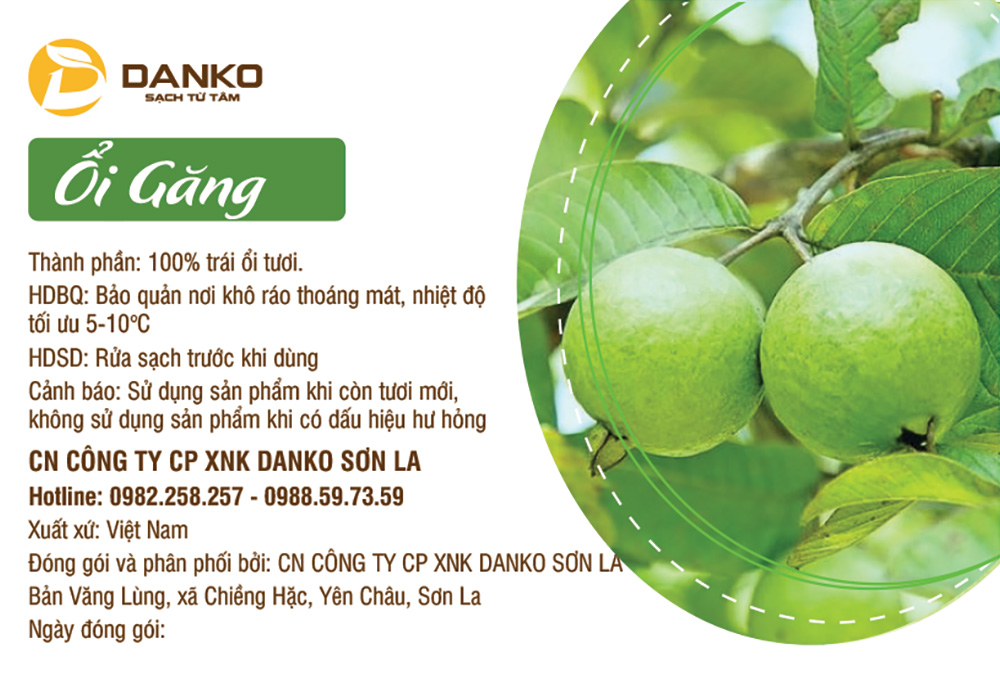 Mẫu Tem Trái Cây Đẹp