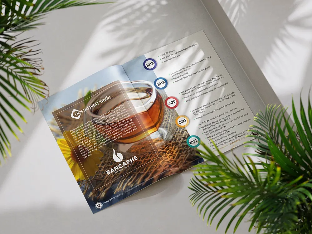 Mẫu catalogue kết hợp hình ảnh thực tế & phối cảnh sáng tạo
