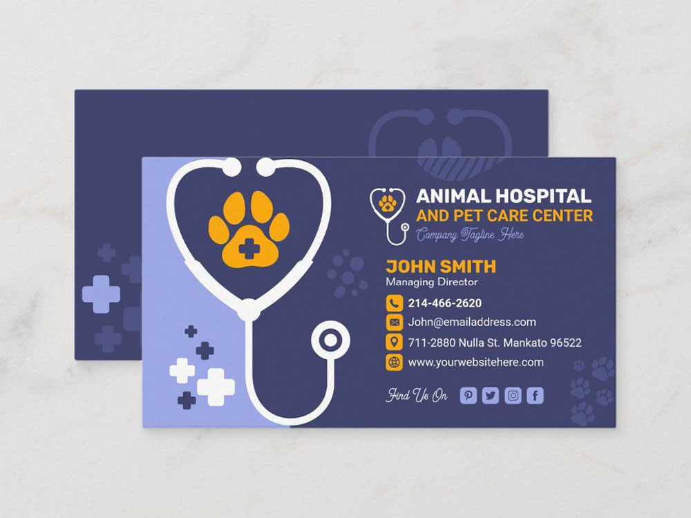 Mẫu card visit thú y ấn tượng