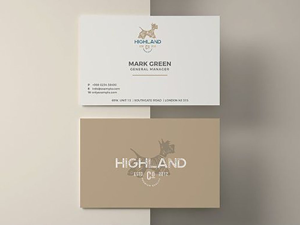 Mẫu card visit thú y ấn tượng
