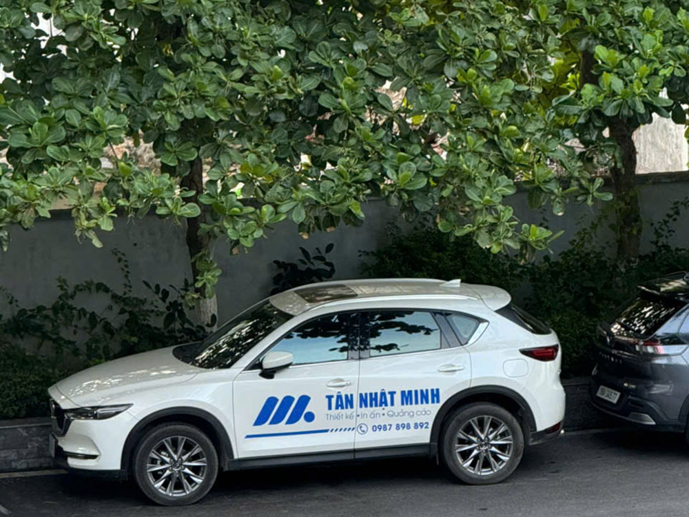Mẫu decal dán xe ô tô đẹp 