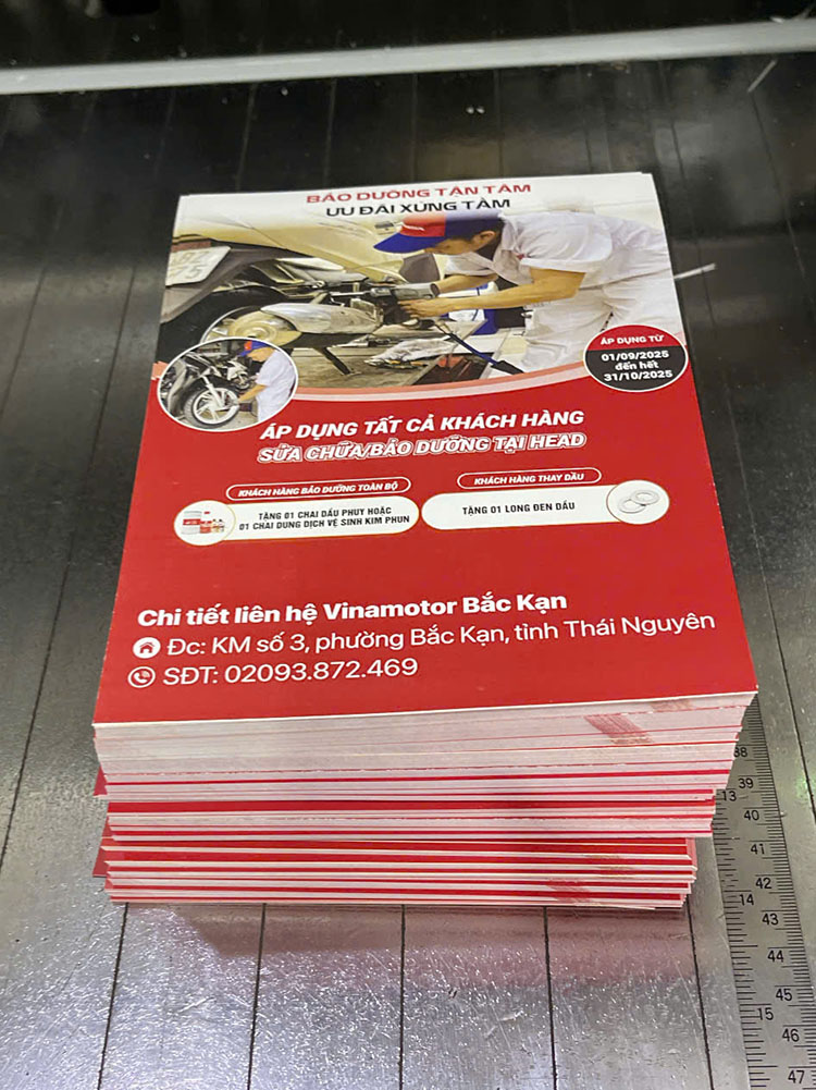 Một số mẫu tờ rơi in ấn thực tế tại Tân Nhật Minh