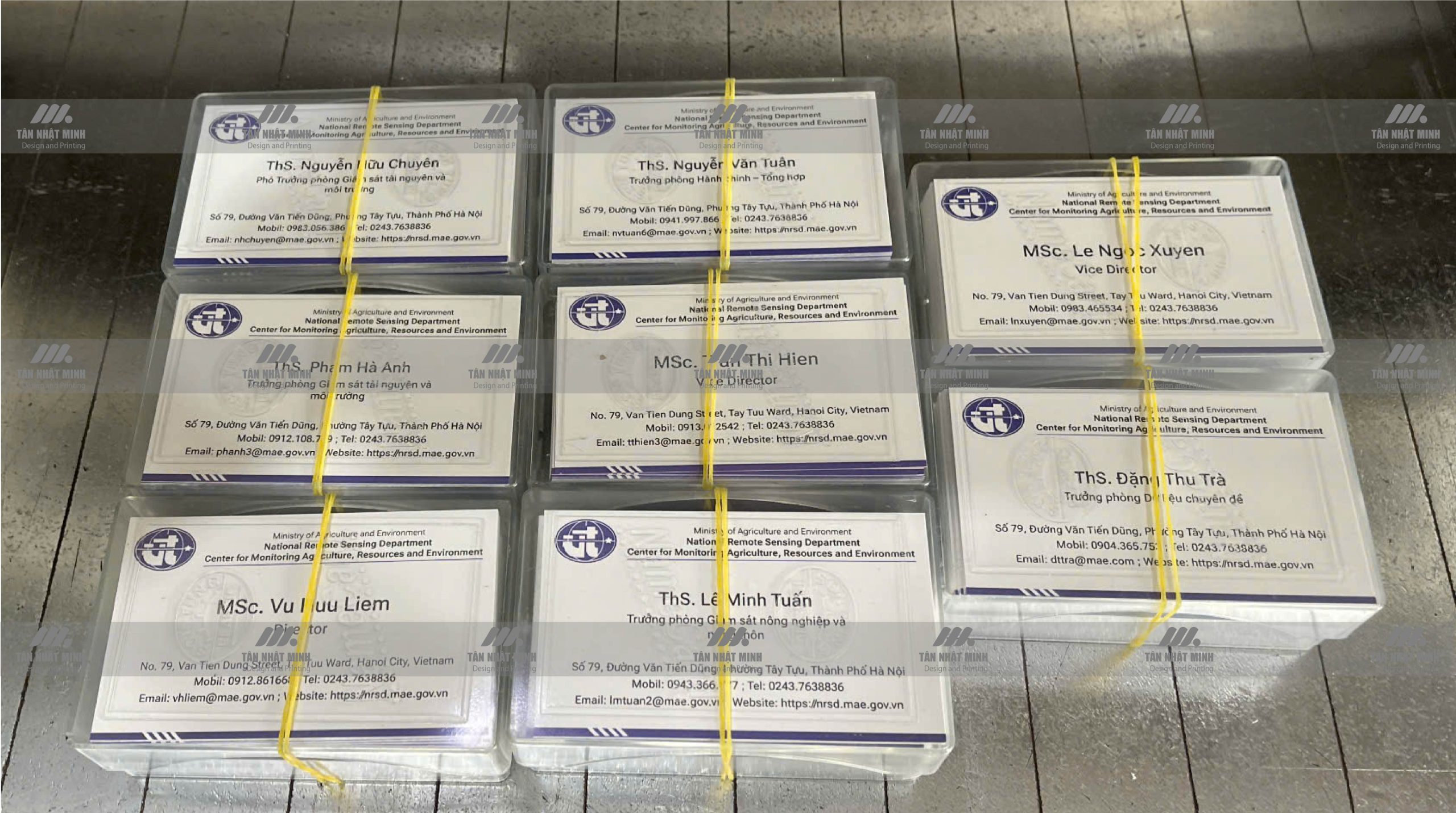 Hình ảnh in card visit thực tế tại Tân Nhật Minh