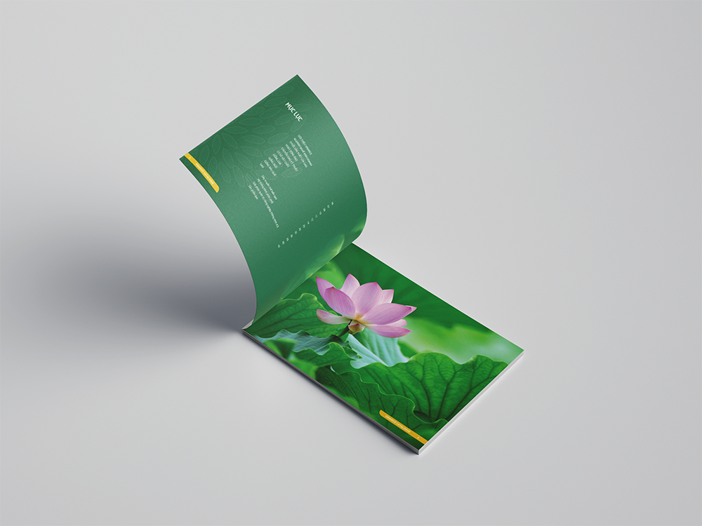 Thiết kế catalogue hạt giống đẹp mắt