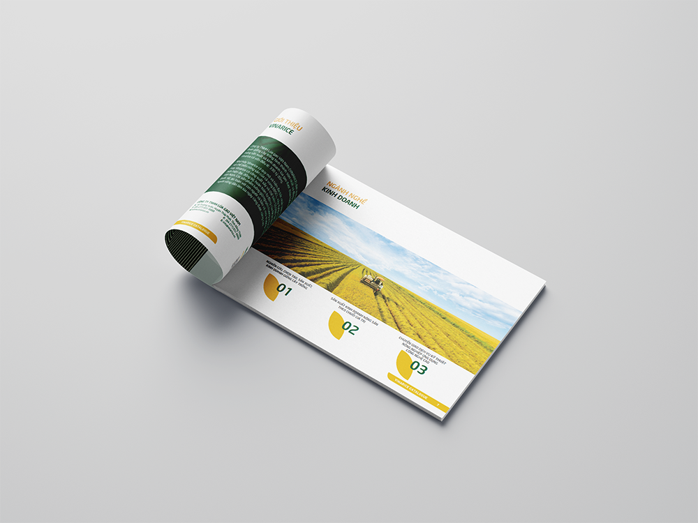 Nội Dung Cần Có Trong Catalogue Hạt Giống