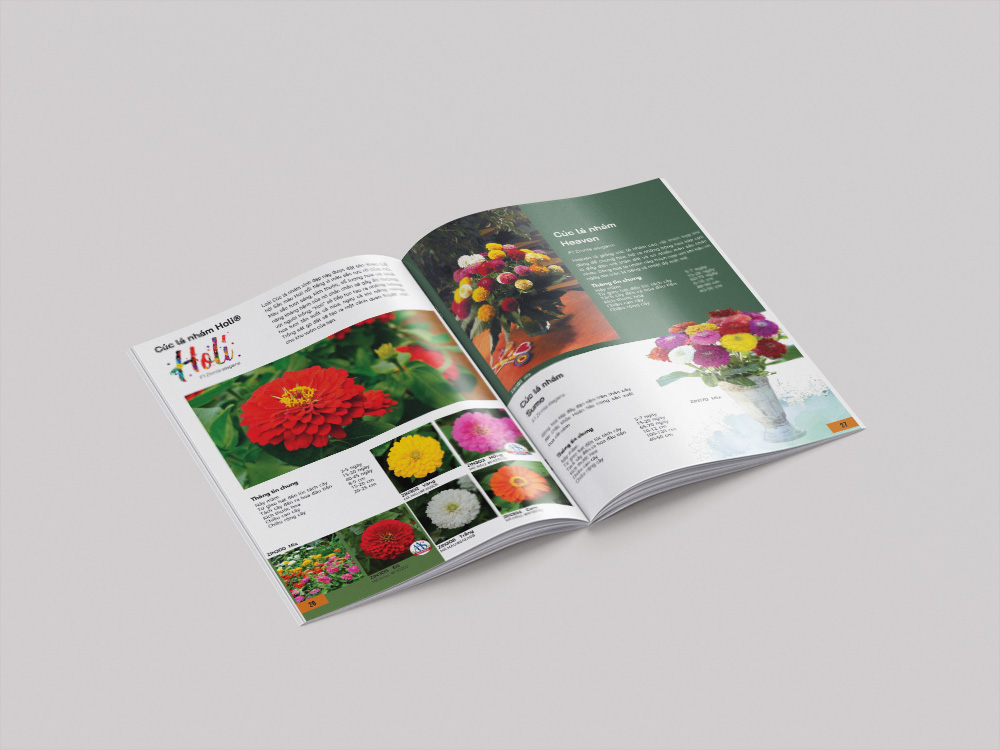 Lợi Ích Khi In Catalogue Hạt Giống