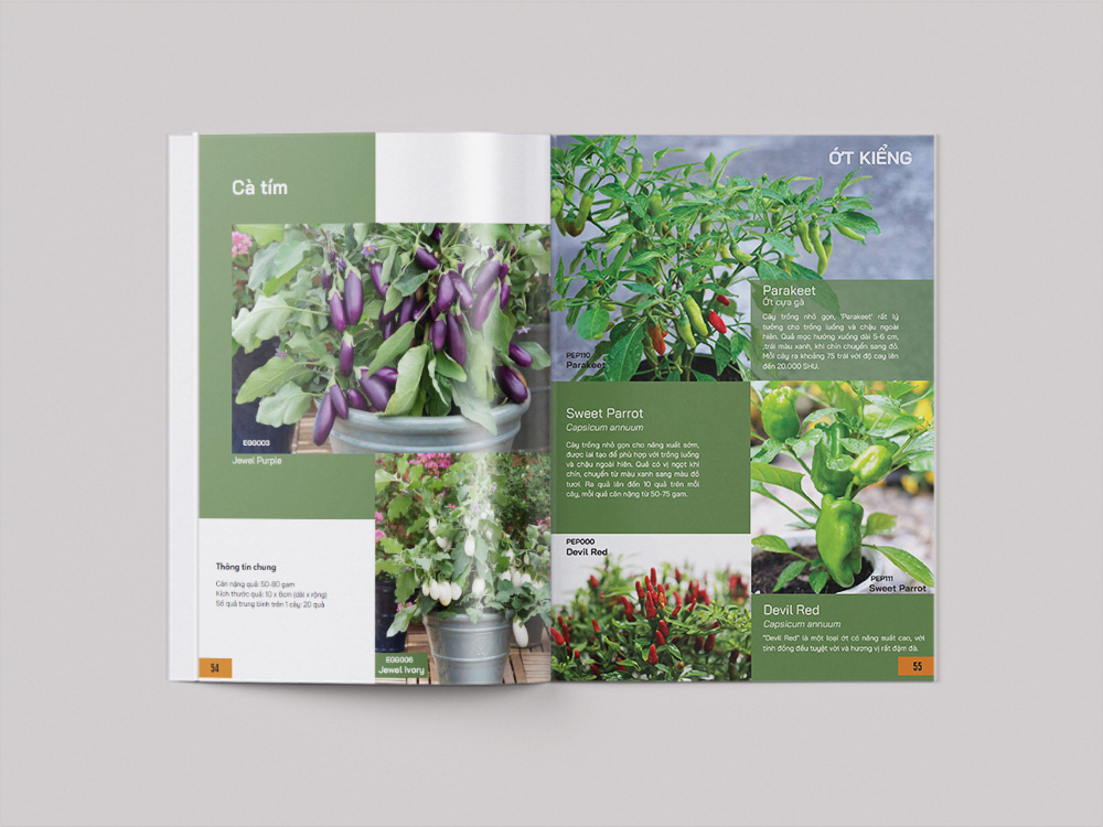 Nội Dung Cần Có Trong Catalogue Hạt Giống