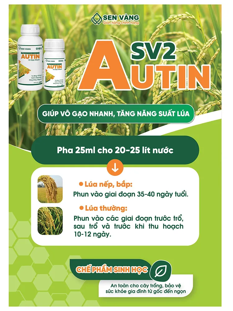 Poster hướng dẫn sử dụng thuốc bảo vệ thực vật an toàn