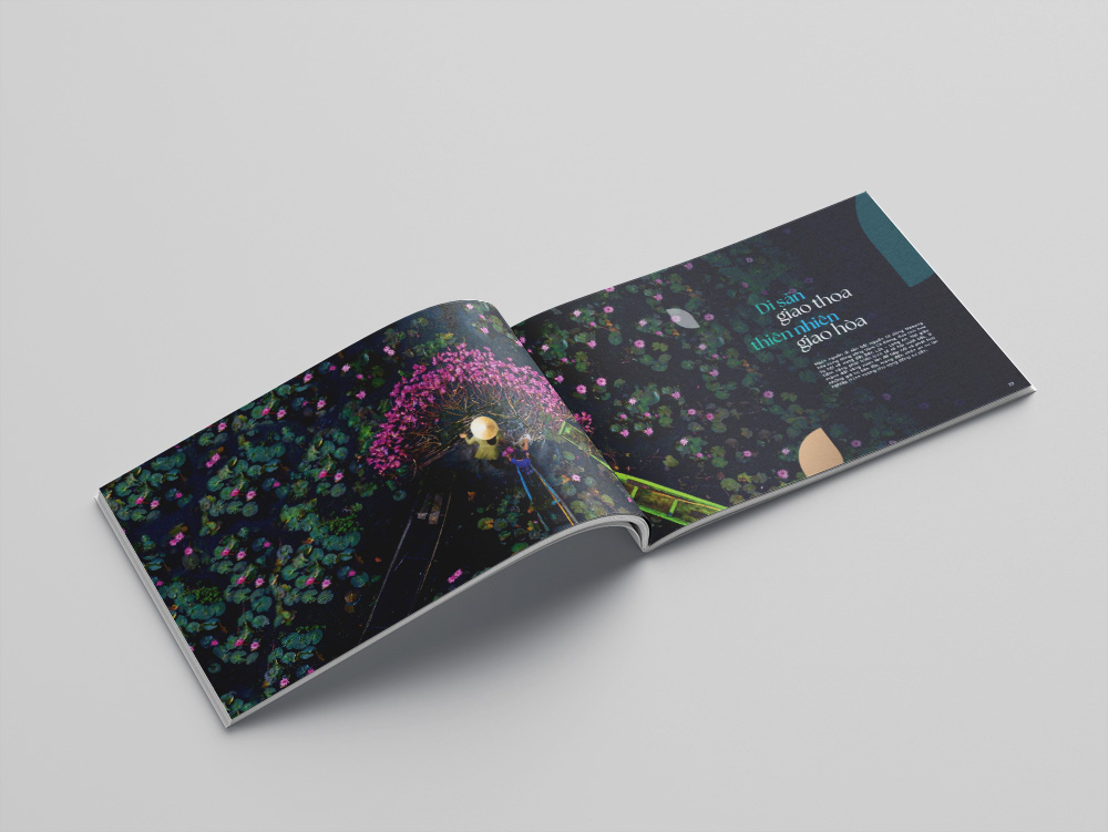 Mẫu Catalogue Bất Động Sản Đẹp