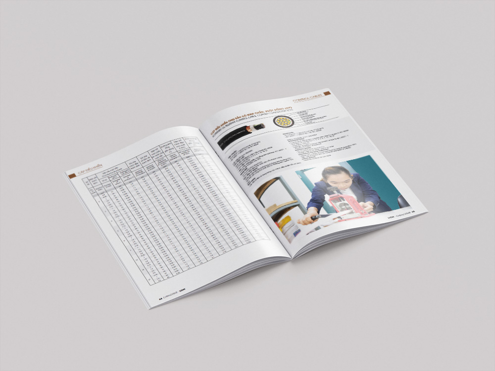 Mẫu catalogue cáp điện