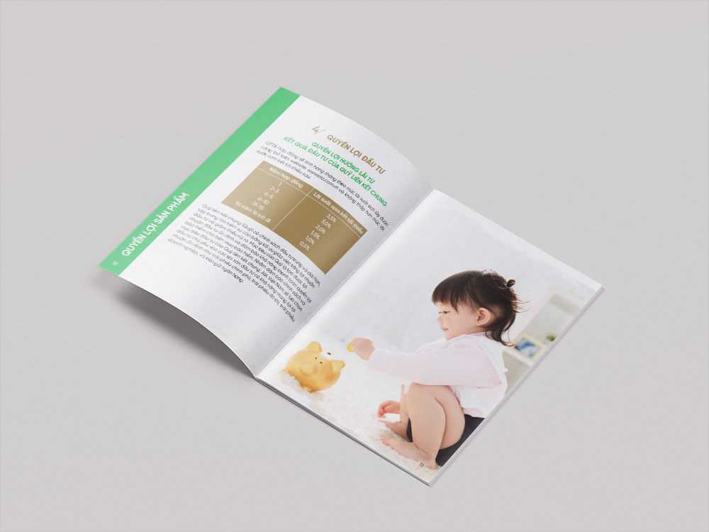 Mẫu brochure, catalogue bảo hiểm đẹp 