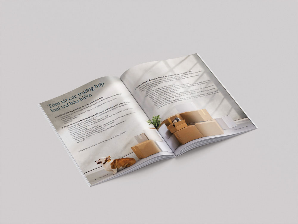 Lưu ý khi thiết kế và in catalogue, brochure công ty bảo hiểm