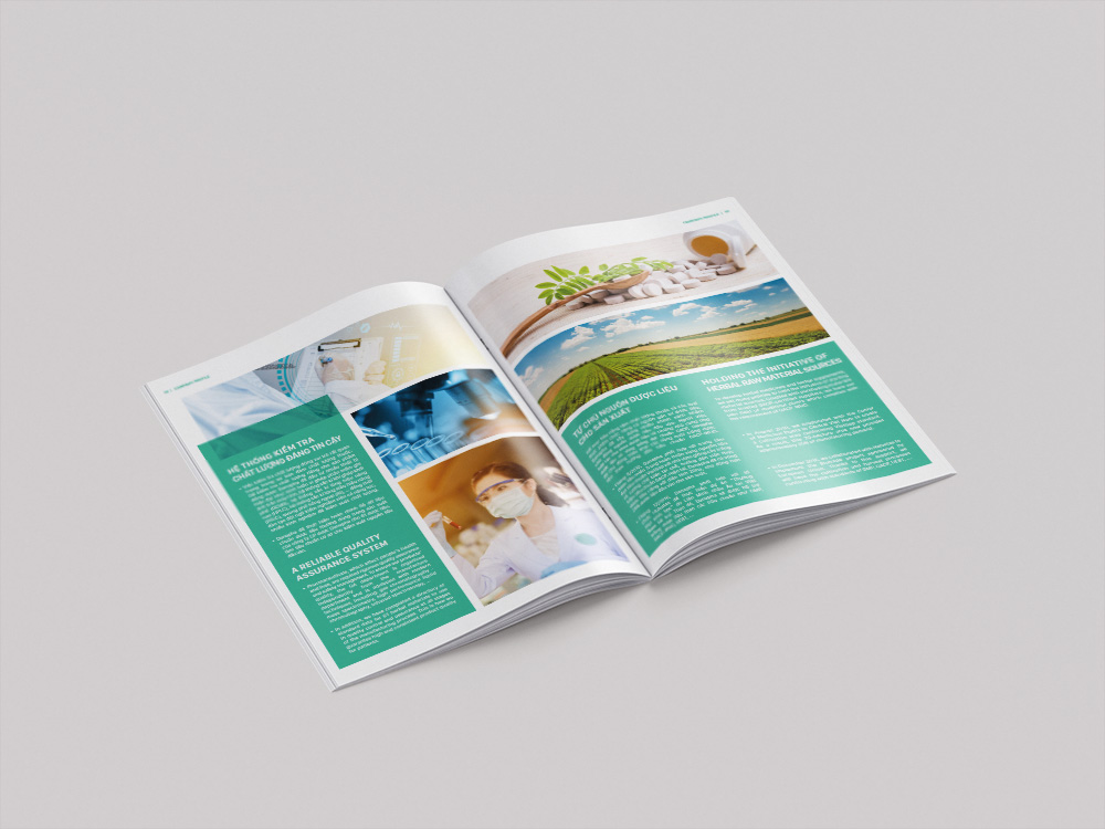Thiết kế và in catalogue dược phẩm – y tế