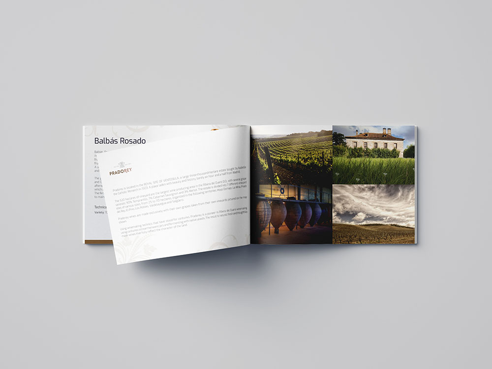 Mẫu catalogue rượu vang đẹp 