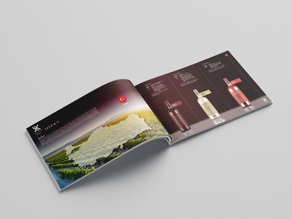 Mẫu catalogue rượu vang đẹp 