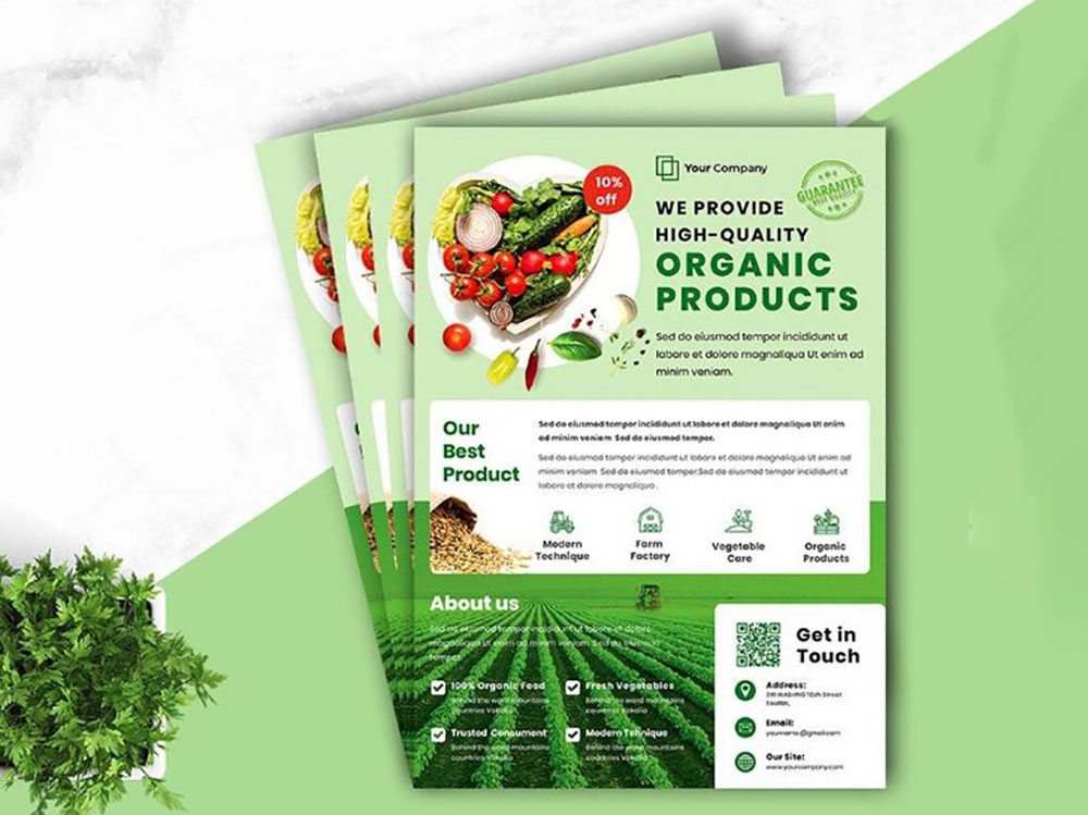 Mẫu tờ rơi quảng cáo rau sạch đẹp 