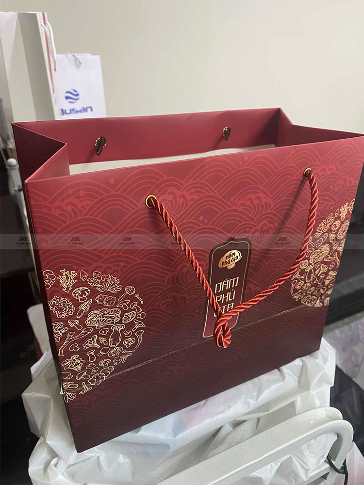 Mẫu thiết kế và in túi giấy đẹp