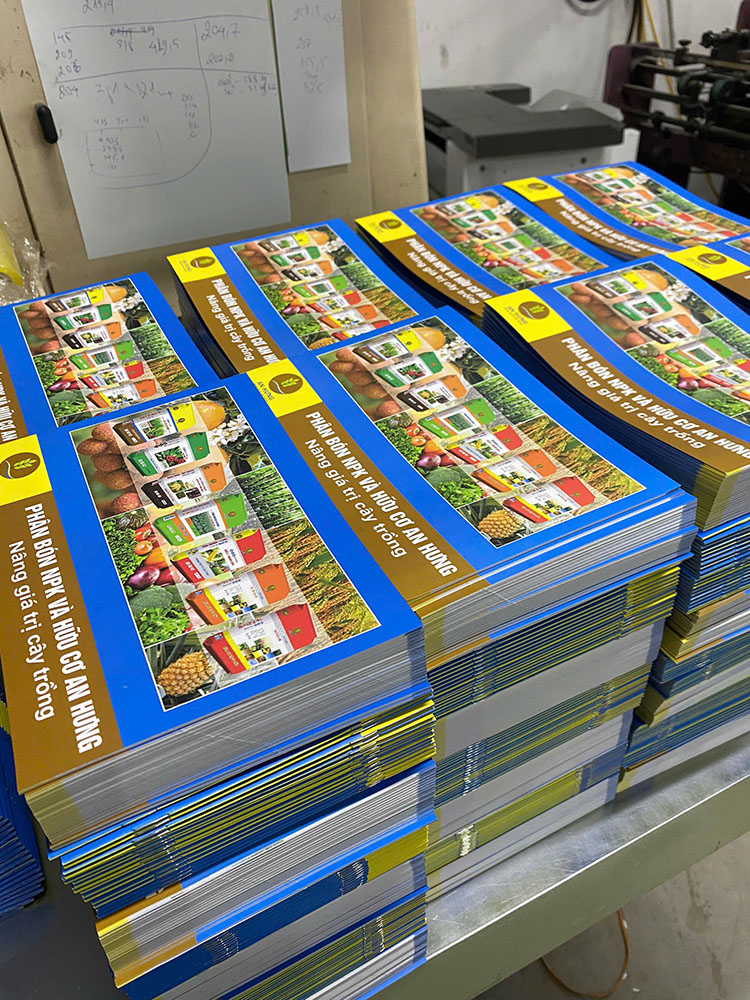 2000 Cuốn Catalogue An Hưng A5