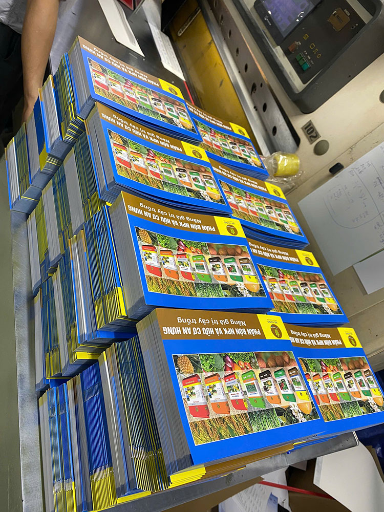 2000 Cuốn Catalogue An Hưng A5