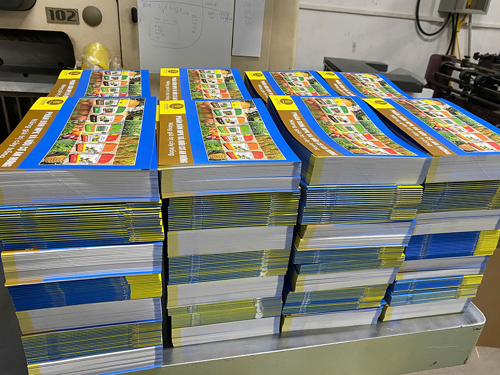 Giới Thiệu Chung Về Dự Án Catalogue A5 Của Công Ty An Hưng