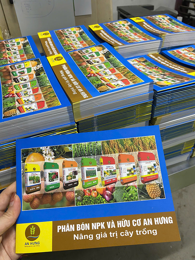 2000 Cuốn Catalogue An Hưng A5
