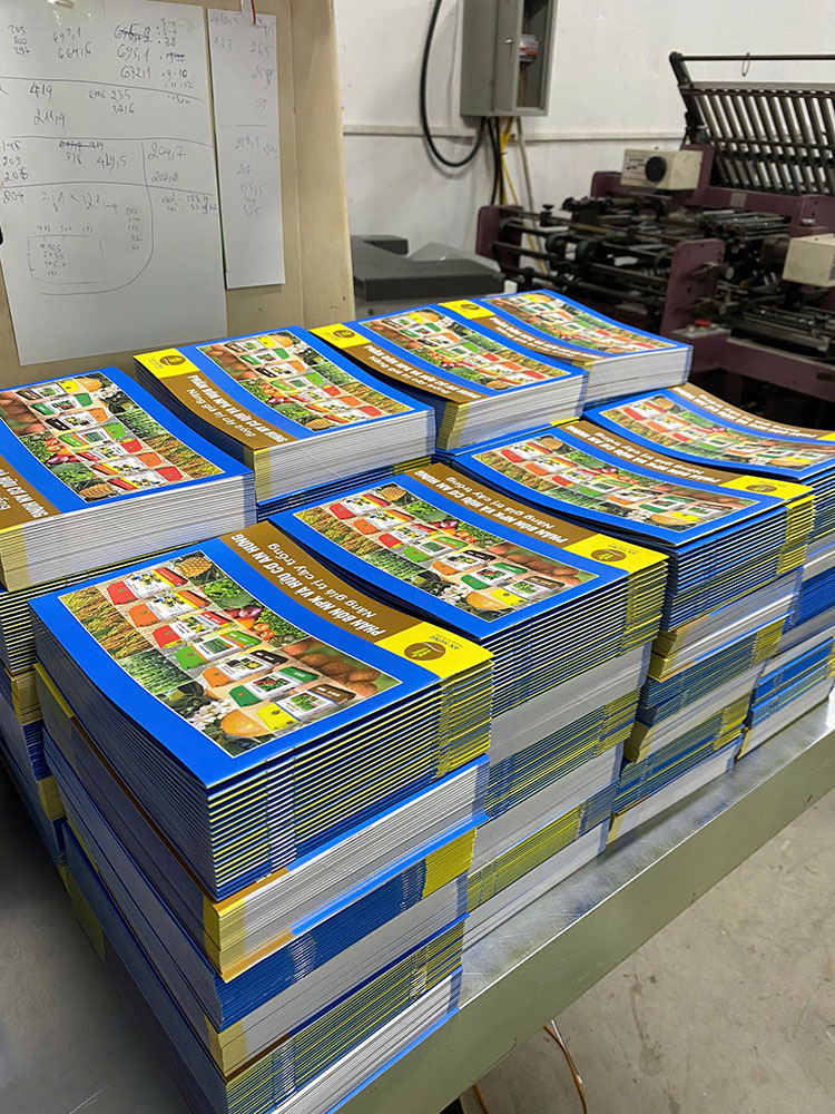 2000 Cuốn Catalogue An Hưng A5