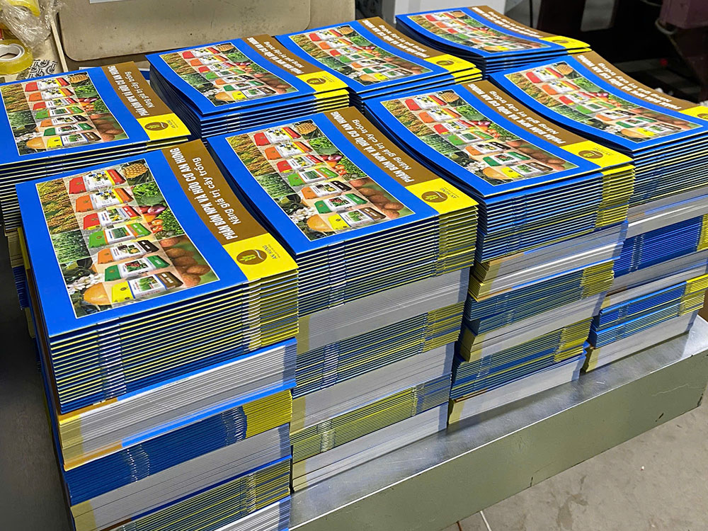 In catalogue giá rẻ, số lượng lớn