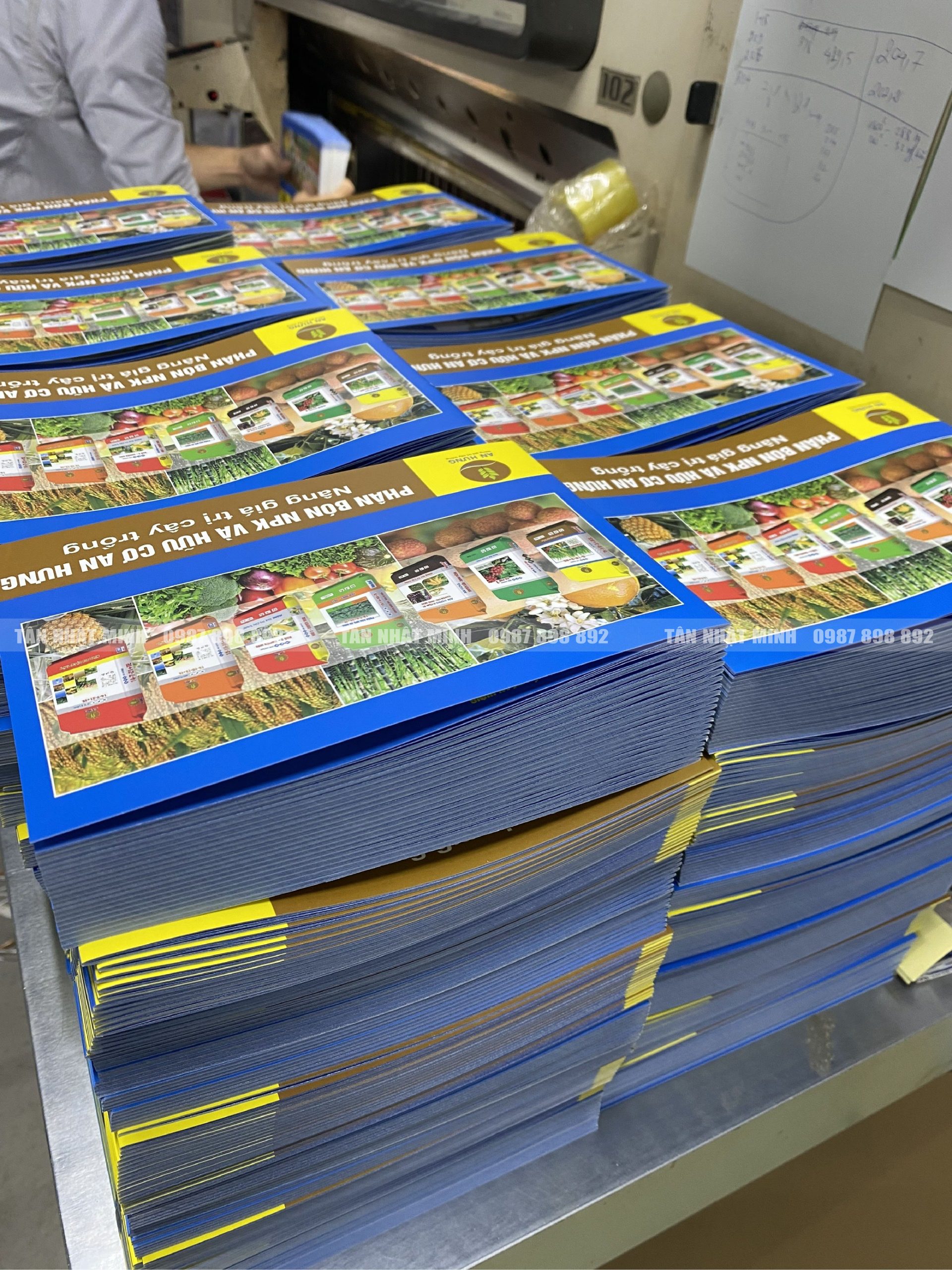 In 2000 cuốn catalogue A5 An Hưng